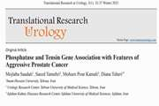Phosphatase and Tensin Gene Association with Features of Aggressive Prostate Cancer 